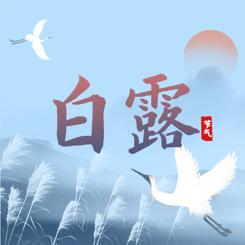 白露 | 蒹葭蒼蒼，白露為霜